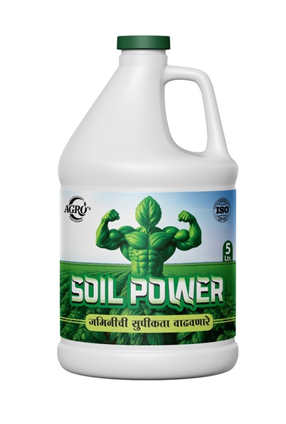 whatsapp image 2026 01 17 at 12.26.57 pm