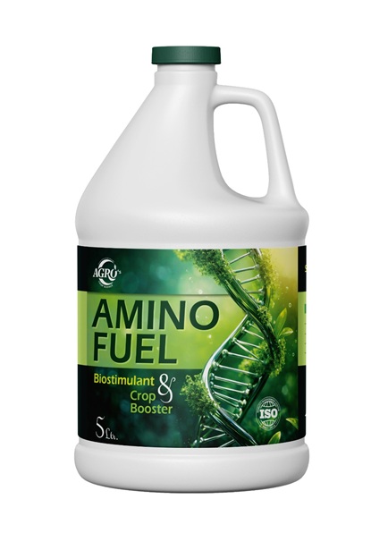 whatsapp image 2026 01 21 at 10.39.04 pm