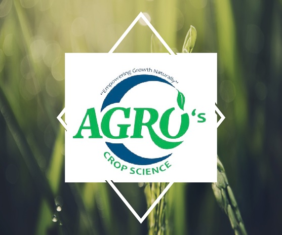 badge banner label blank copy space